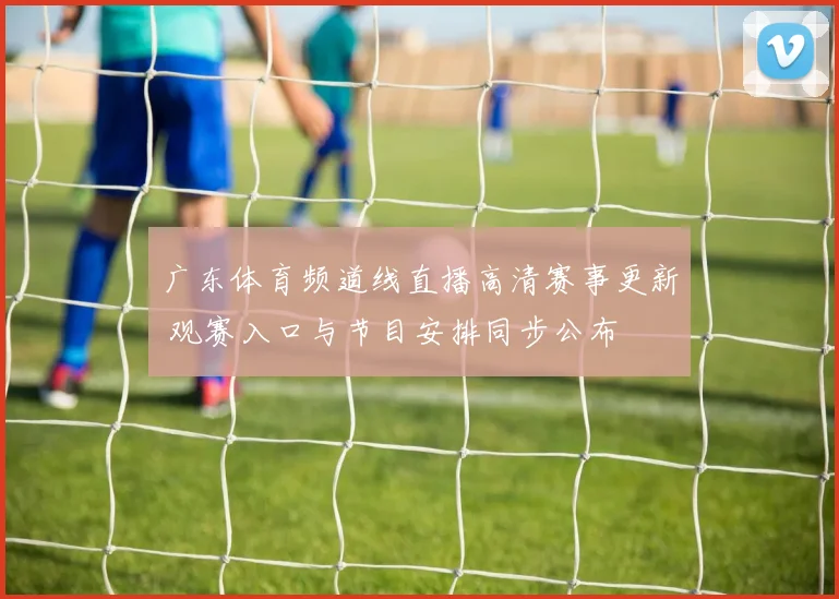 广东体育频道线直播高清赛事更新 观赛入口与节目安排同步公布