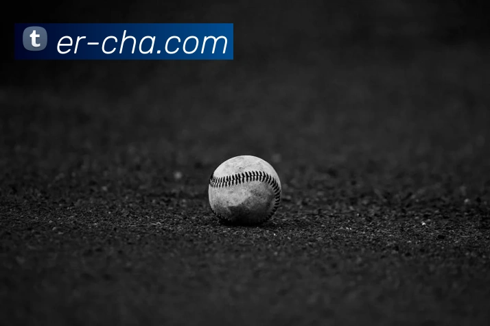 emc易倍全站网页版APP 高清赛事图